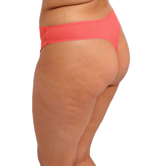 Matilda String Sunset