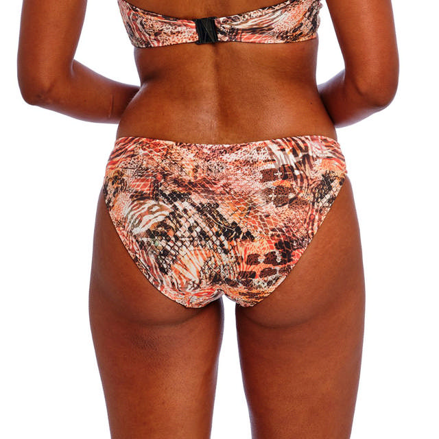 Desert Cat Bikinitrosa Rio Sunset